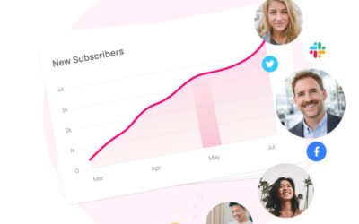 Mixo. Décrivez votre activité, votre site est en ligne.